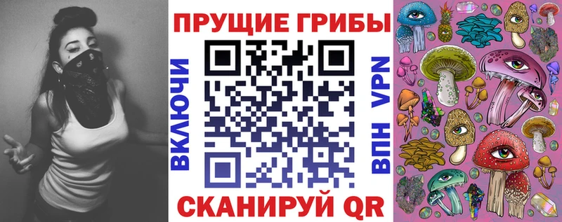 где найти   Саранск  MEGA онион  Галлюциногенные грибы Psilocybine cubensis 