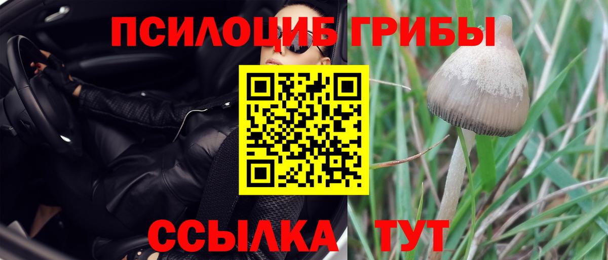 наркошоп  Галлюциногенные грибы Magic Shrooms  Вход с VPN  Саранск 